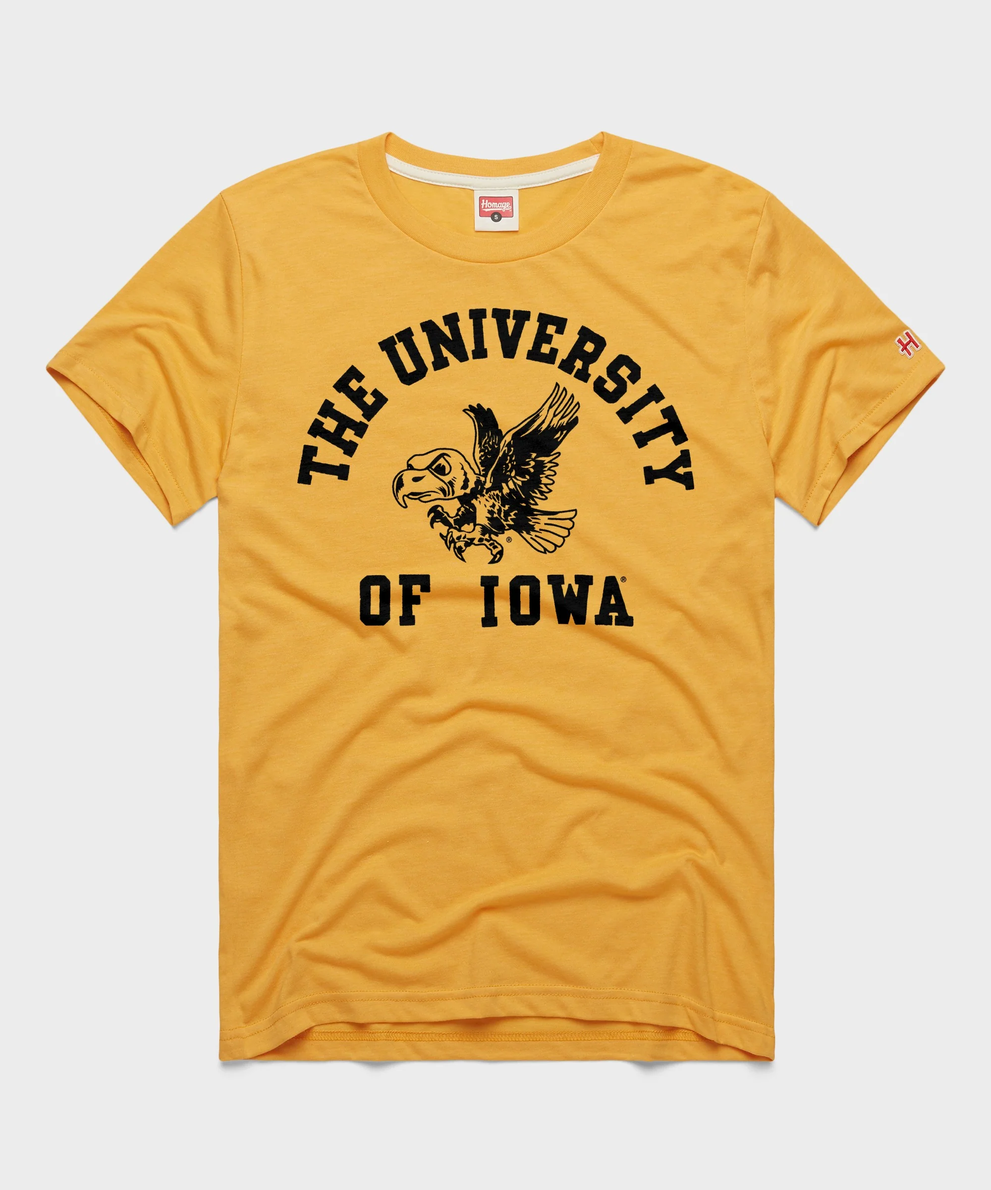 University of Iowa